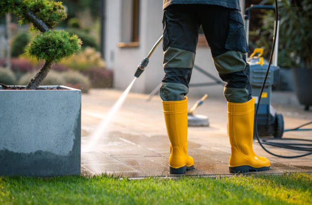 Best Affordable Power Washing  in Perryville, AR